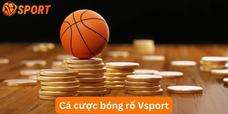 sảnh cá cược bóng rổ Vsport