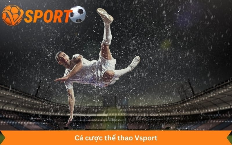 cá cược thể thao Vsport