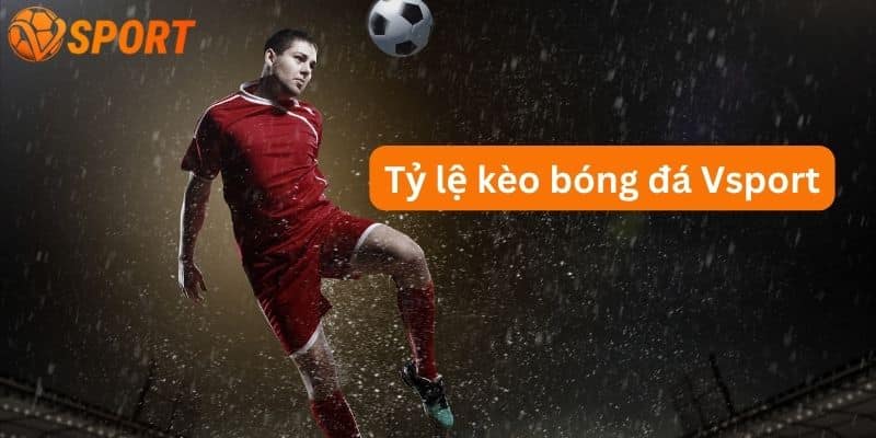 tỷ lệ kèo bóng đá nhà cái Vsport